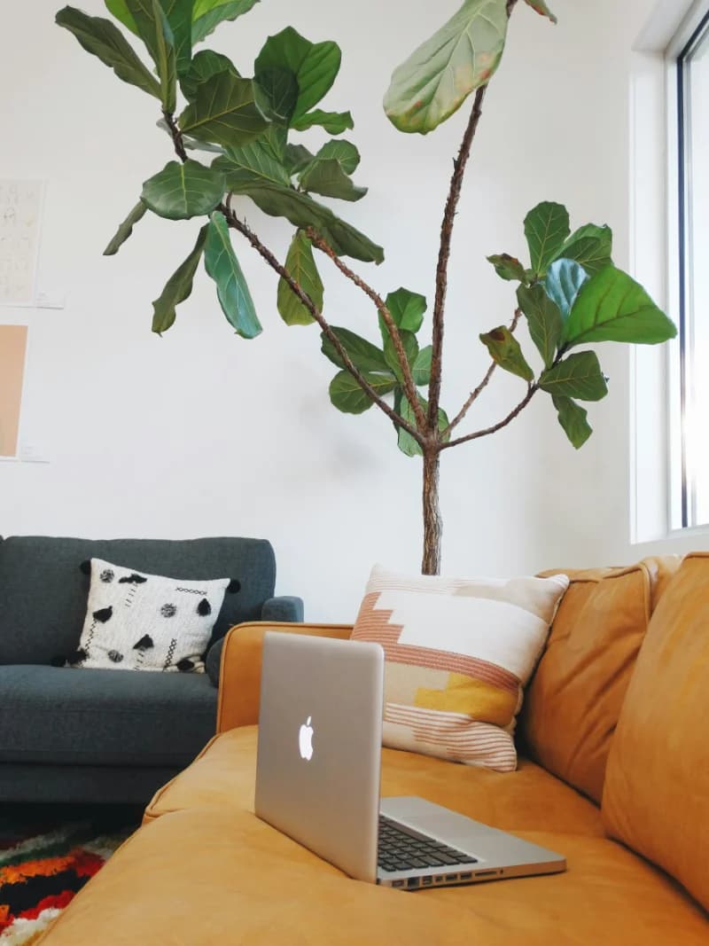 Therapeutic environment